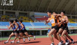 体育圈很乱天涯,乱象背后的真相与反思